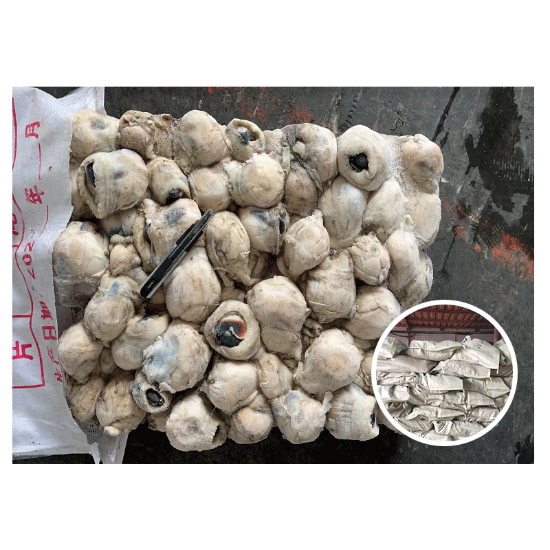 New-Stock-Squid-Mouth-For-Southeast-Asia